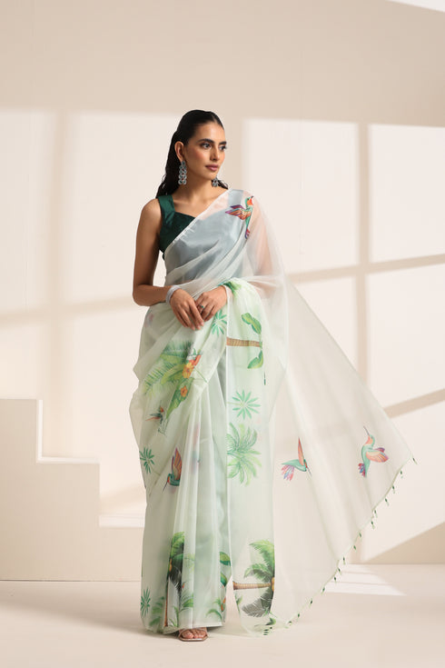 Light Green Organza Printed Saree with Tropical Bird Design