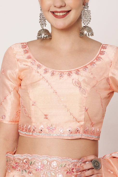 Peach Organza Saree with Embroidery, Jarkan & Mirror Work