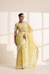 Light Yellow Chiffon Saree with Silver Embroidery Work