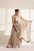 Golden Beige Organza Saree with Silver Border
