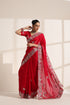 Red Pure Silk Saree with Intricate Peacock Embroidery