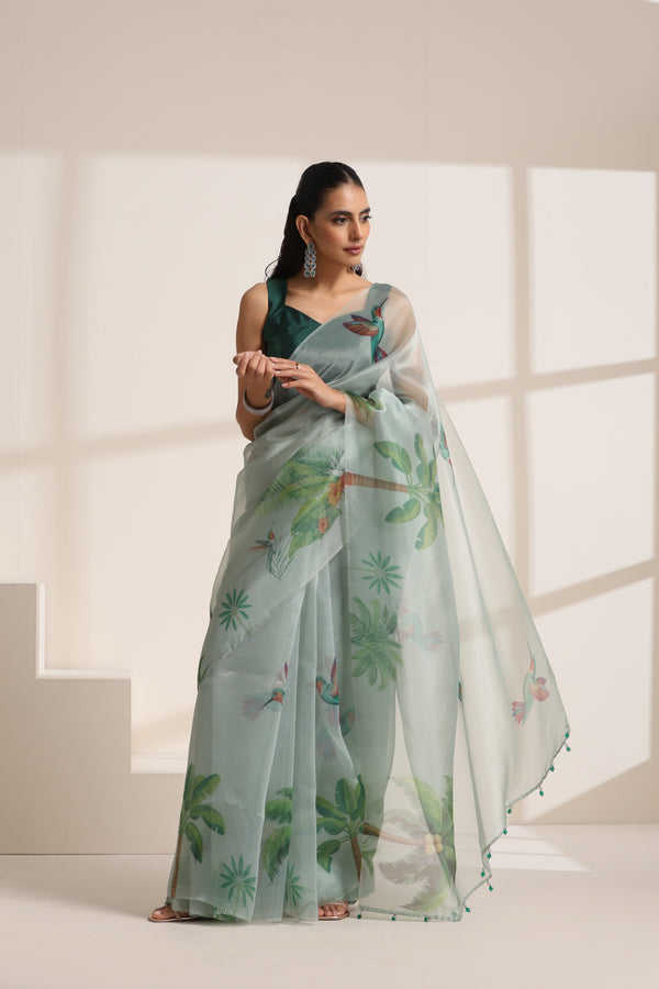 Mint Green Organza Saree with Printed Floral and Bird Design