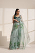 Mint Green Organza Saree with Printed Floral and Bird Design