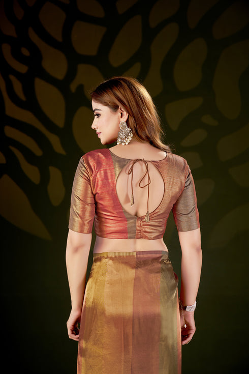 Golden Shades Luxury Organza Vibes