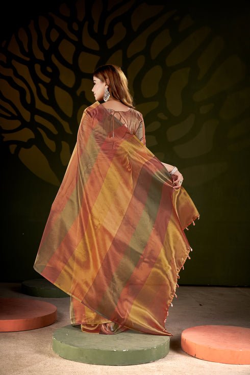 Golden Shades Luxury Organza Vibes