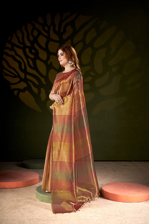 Golden Shades Luxury Organza Vibes