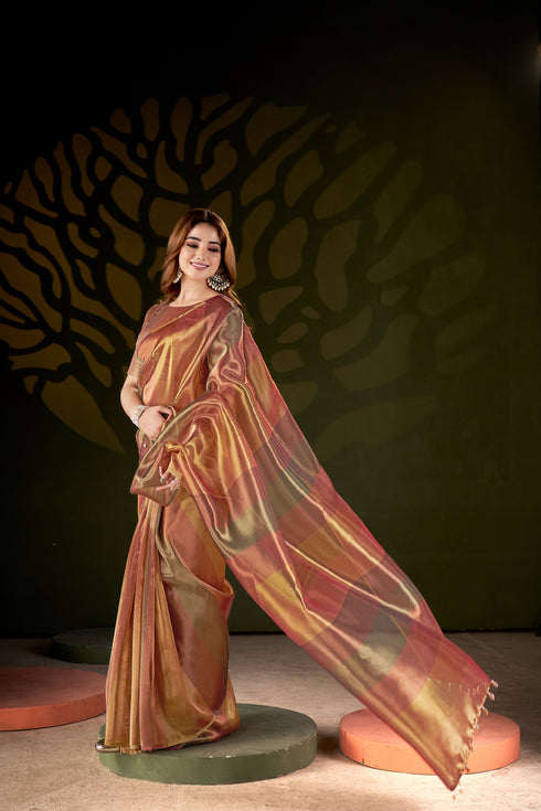 Golden Shades Luxury Organza Vibes