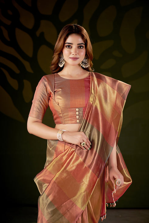 Golden Shades Luxury Organza Vibes