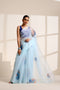Sky Blue Silk Organza Saree with Peacock Print