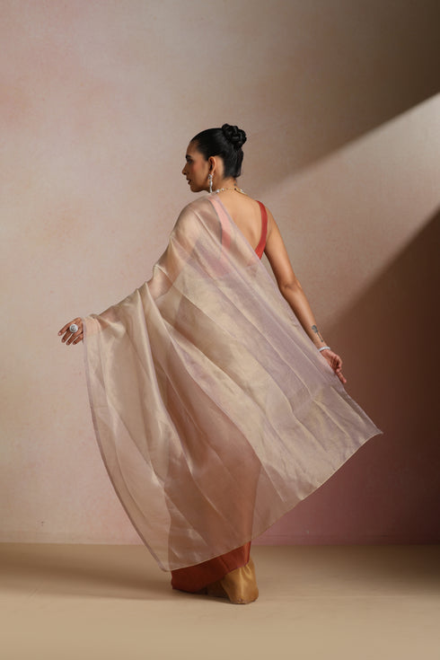 Beige Coral Ombre Organza Saree with Sleeveless Blouse